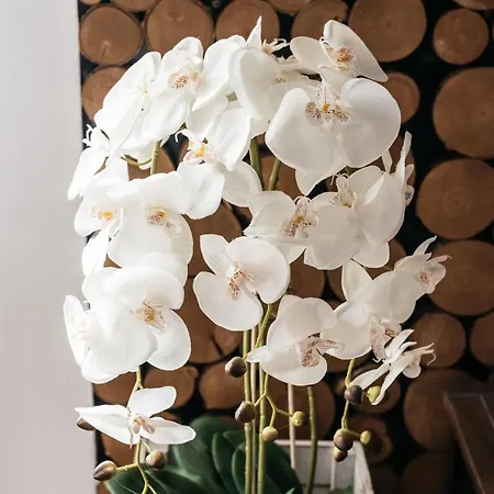 Miodowa By Loft Affair *